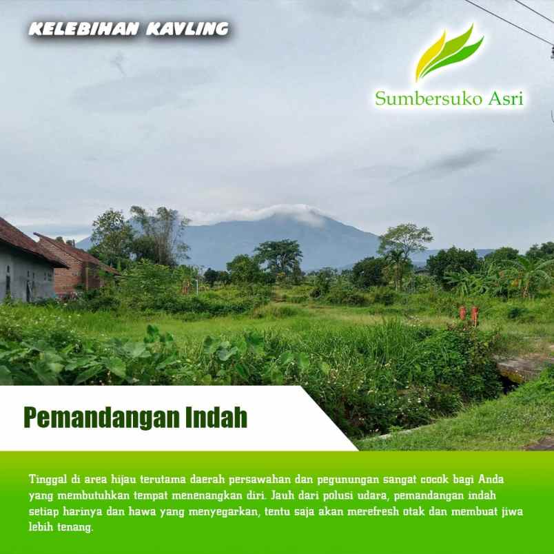 dijual tanah kemuning sumbersuko kec