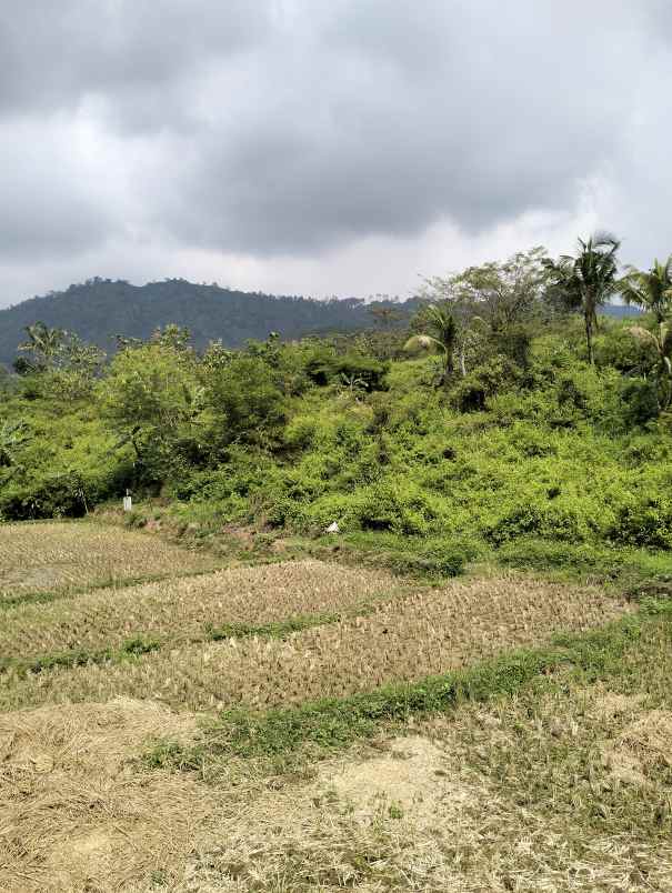 dijual tanah kering 4 ha 40 000 m2