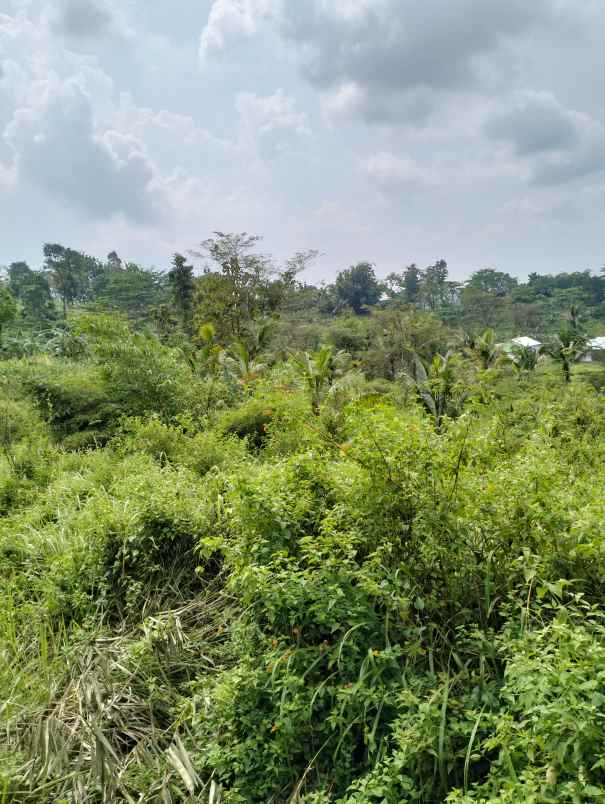 dijual tanah kering 4 ha 40 000 m2