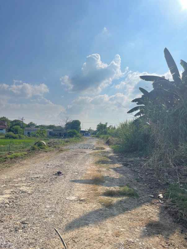 dijual tanah kp cabang empat hurip jaya