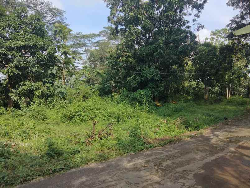 dijual tanah kubang kec talun kab cirebon
