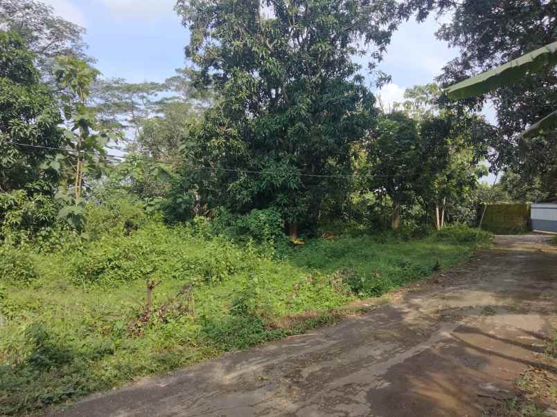 dijual tanah kubang kec talun kab cirebon