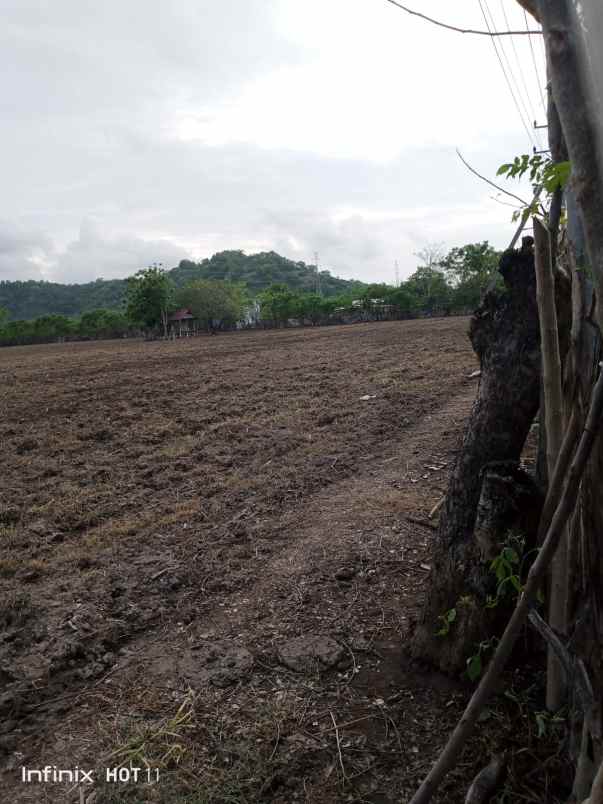 dijual tanah labuan mapin alas barat