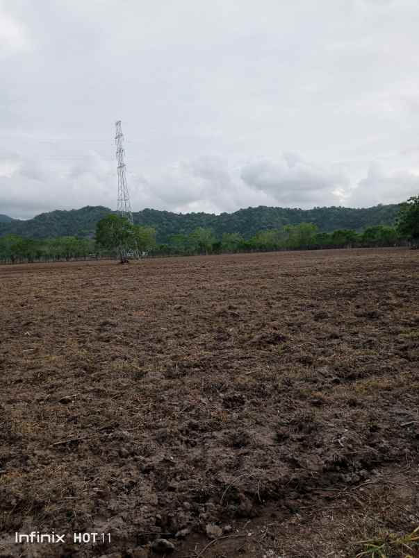 dijual tanah labuan mapin alas barat