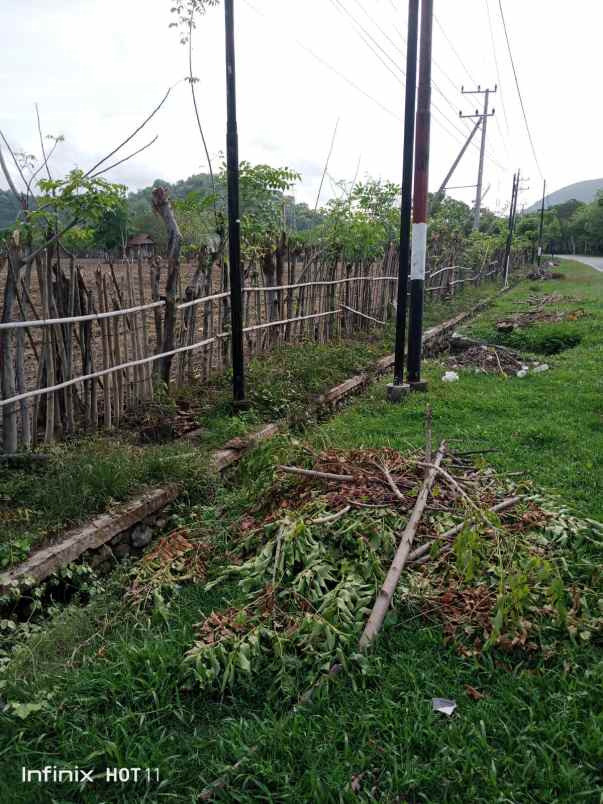 dijual tanah labuan mapin alas barat