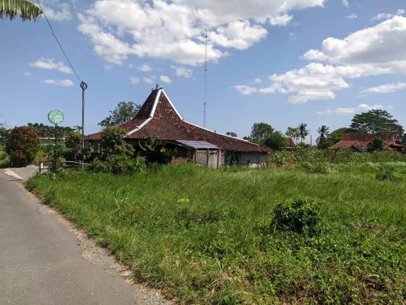 dijual tanah lojajar sinduharjo ngaglik