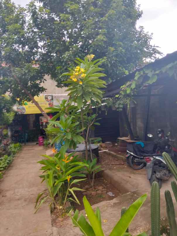 dijual tanah lokasi strategis di jalan joe kelapa tiga