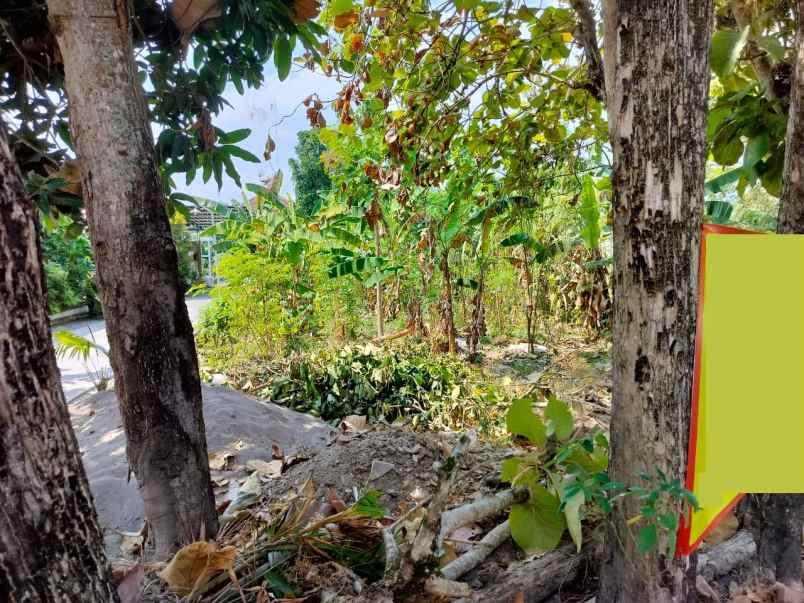 dijual tanah luas 1004 m2 di pinggir jalan raya bantul