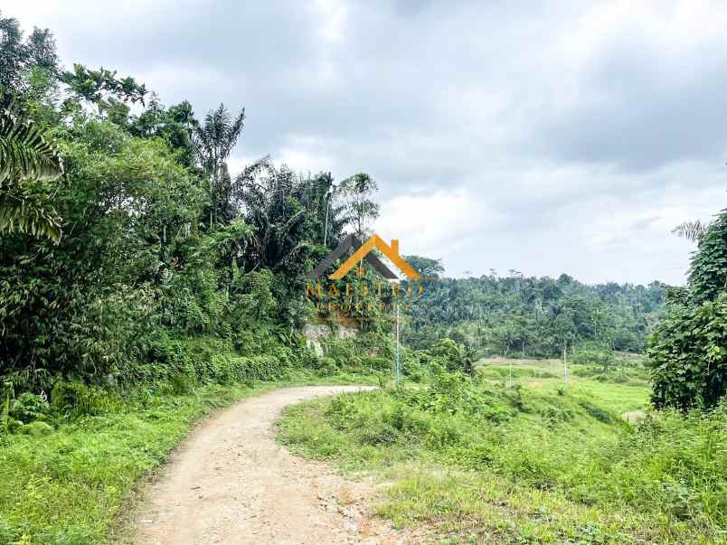 dijual tanah luas 60 hektar di jalan namorambe sembahe