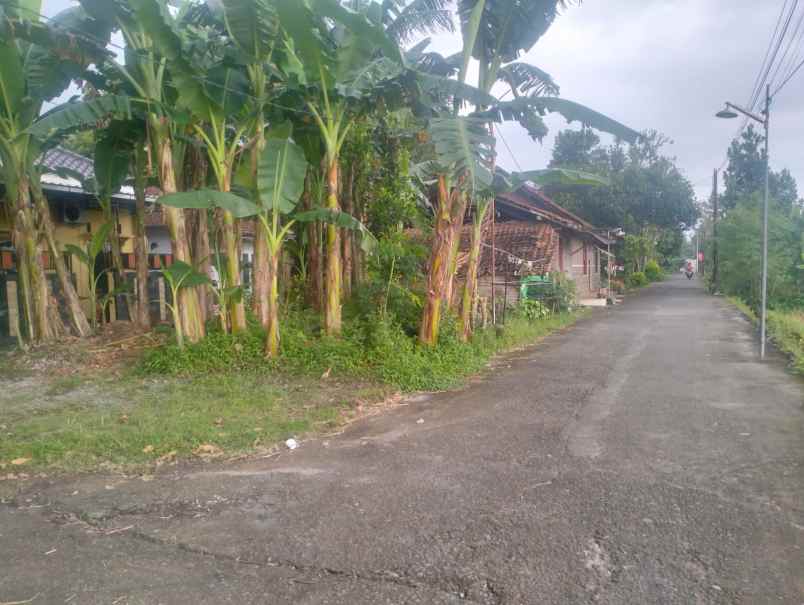 dijual tanah maredan selatan bandara