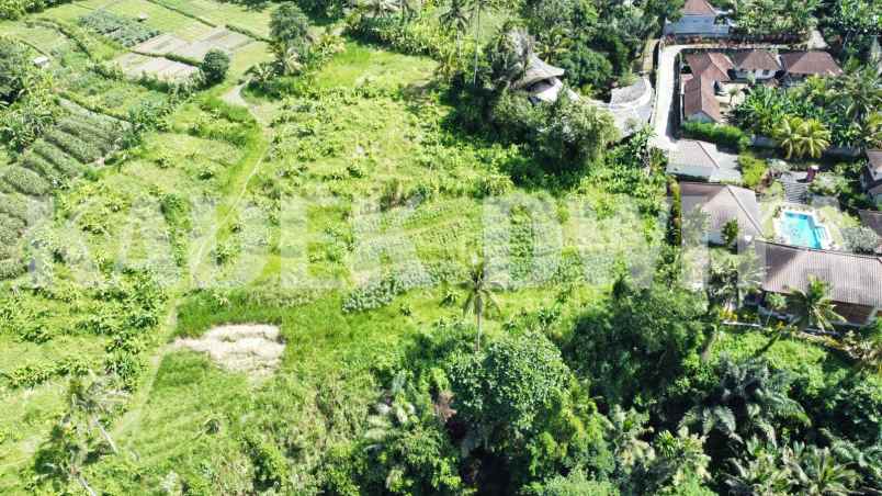 dijual tanah murah los sungai view lembah dekat ubud