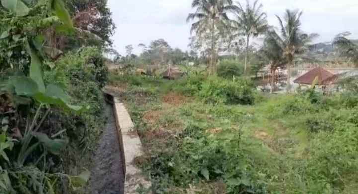 dijual tanah murah tanah kebun akses jalan mobil