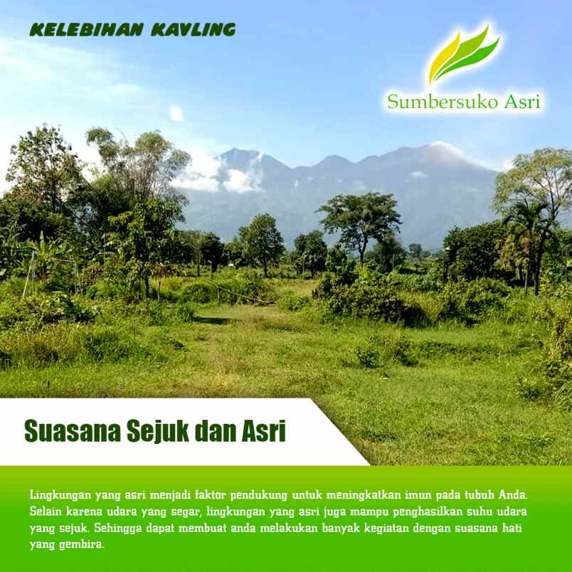 dijual tanah ngadisono sumber suko