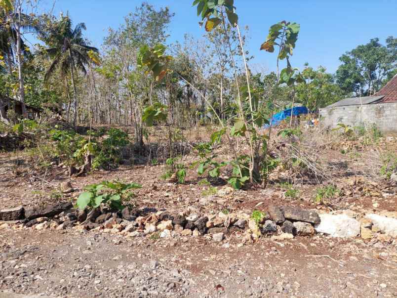 dijual tanah nitikan semanu gunung