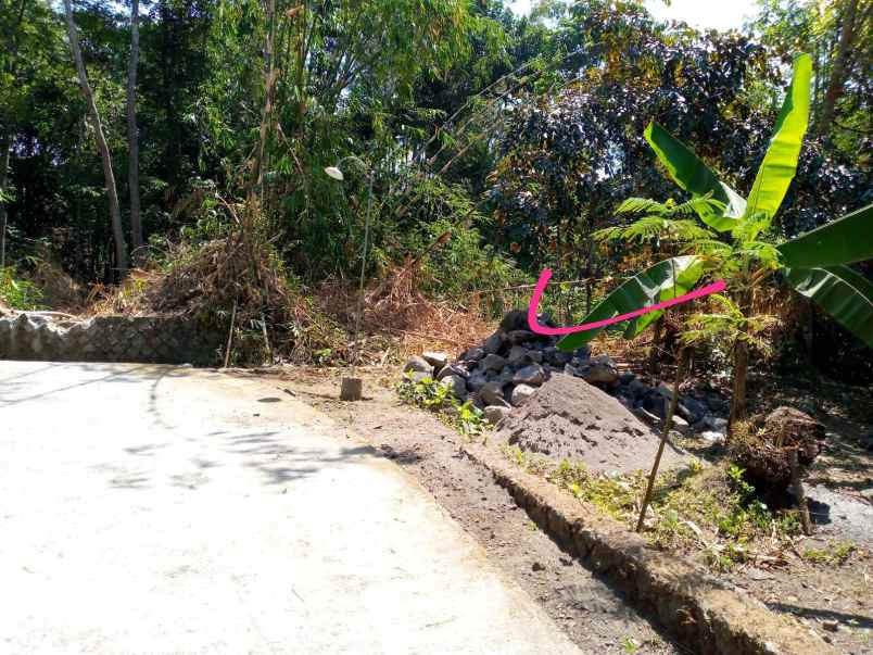 dijual tanah pekarangan jiwan karangnongko