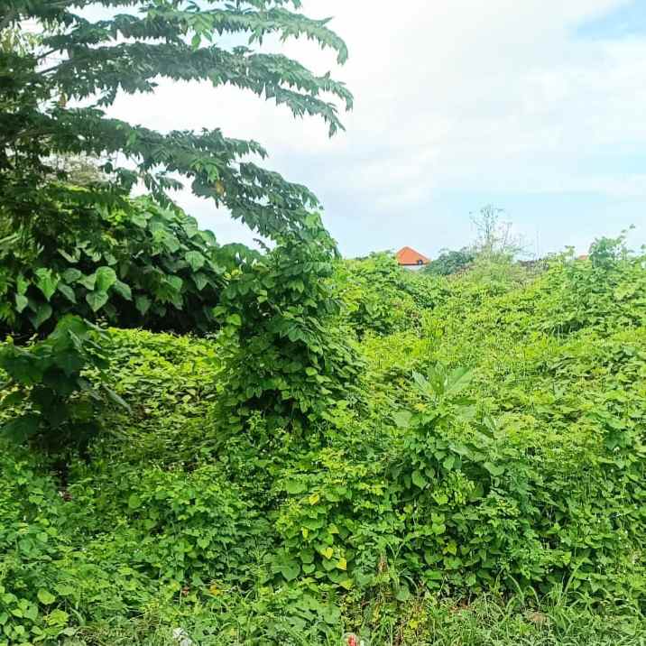 dijual tanah pemogan