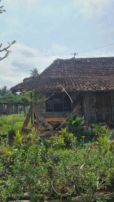 dijual tanah purwobinangun kec pakem