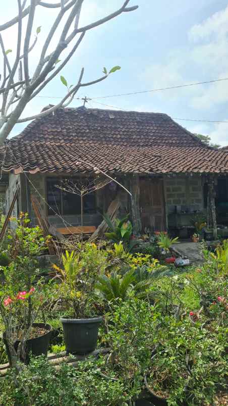 dijual tanah purwobinangun kec pakem