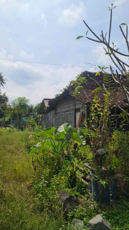 dijual tanah purwobinangun kec pakem