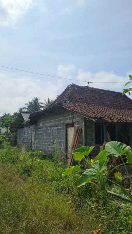 dijual tanah purwobinangun kec pakem