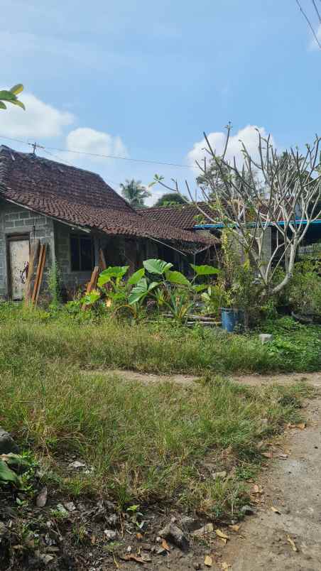 dijual tanah purwobinangun kec pakem