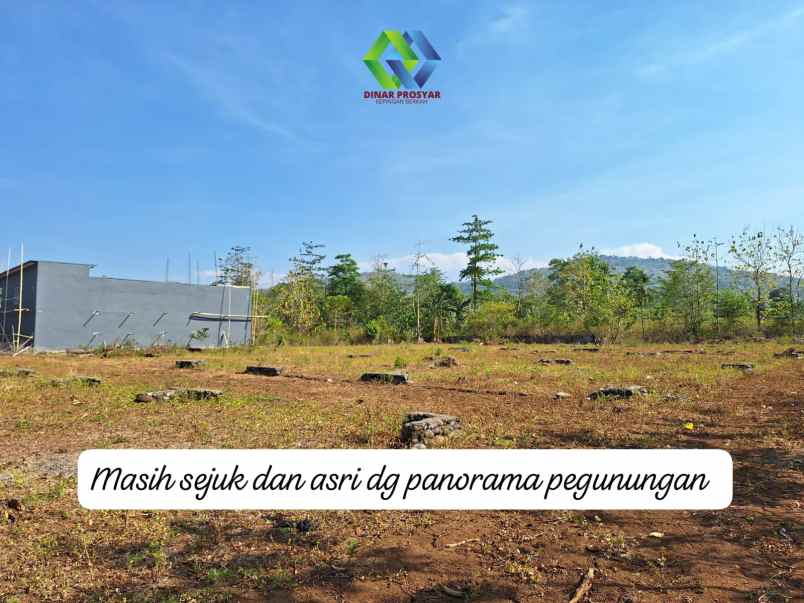 dijual tanah sakeang benteng gajah maros