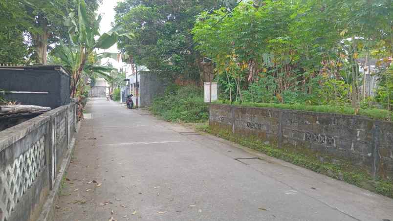 dijual tanah sanggrahan tlogoadi