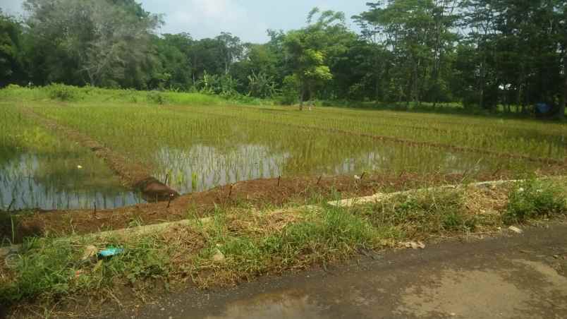 dijual tanah sarewu kec pancalang kab