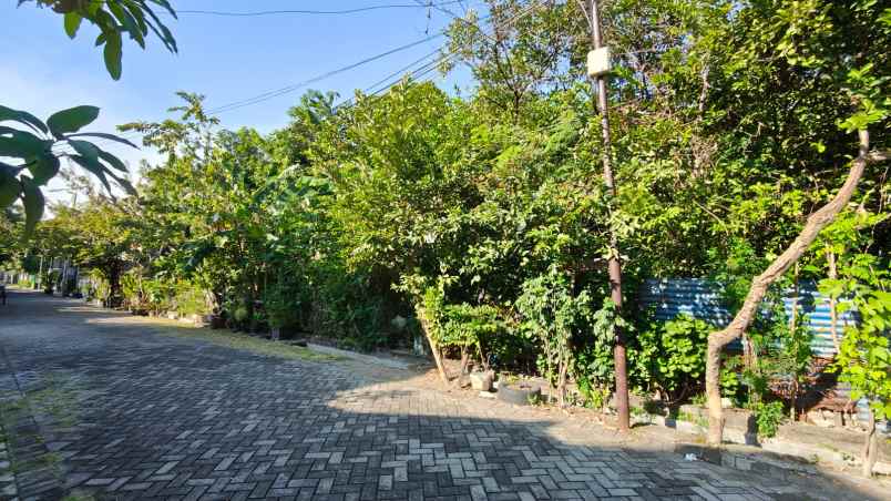 dijual tanah semolowaru