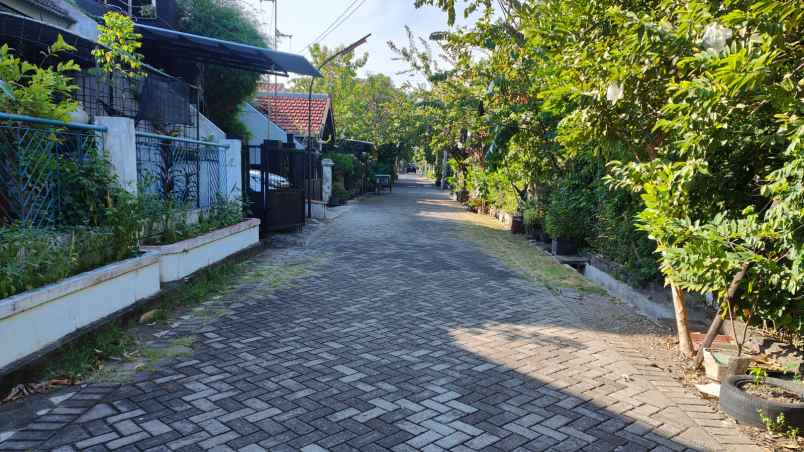 dijual tanah semolowaru