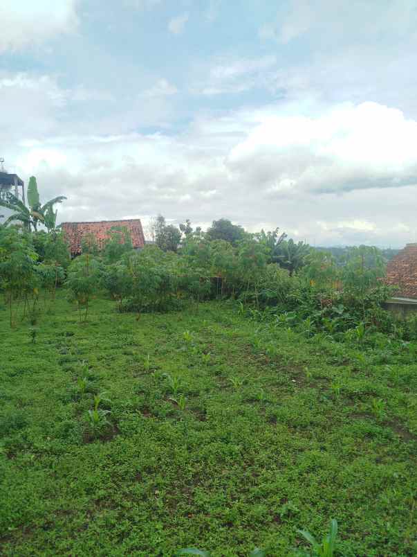 dijual tanah sukaharja cijeruk bogor
