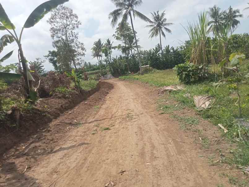 dijual tanah sukoanyar