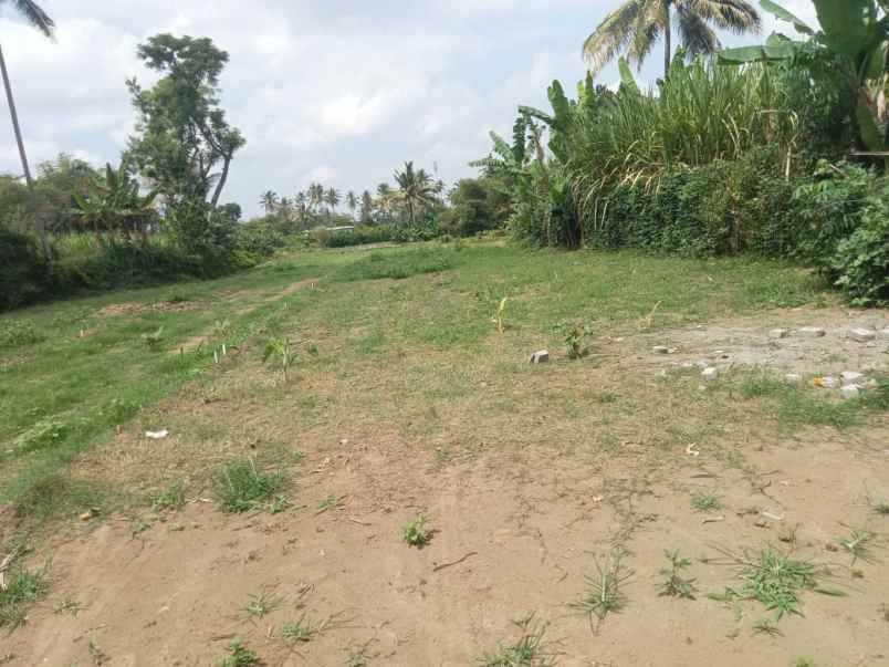 dijual tanah sukoanyar