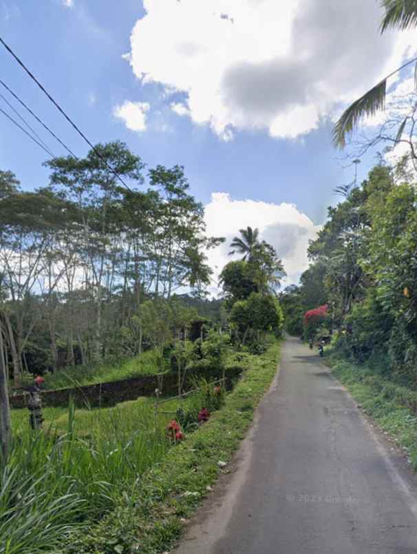 dijual tanah tegallalang gianyar bali