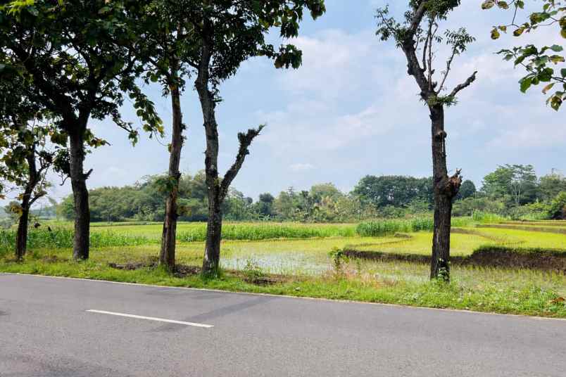 dijual tanah tepi jl raya kerjo