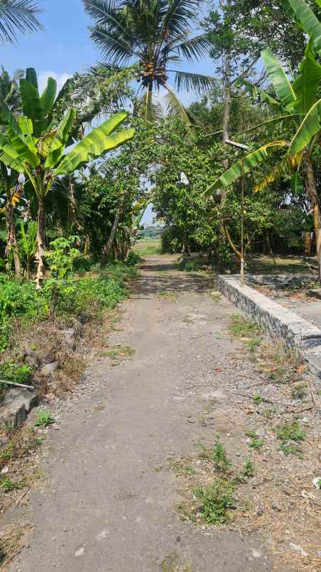 dijual tanah widodomartani kec ngemplak