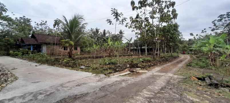 dijual tanah wonosari karang tengah