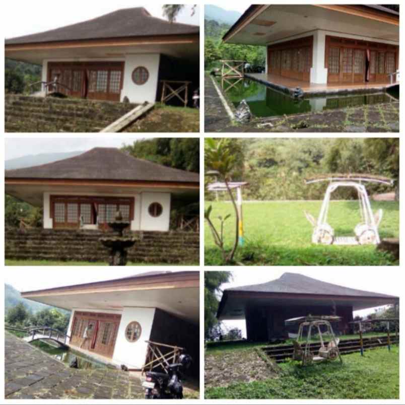 dijual villa cijeruk