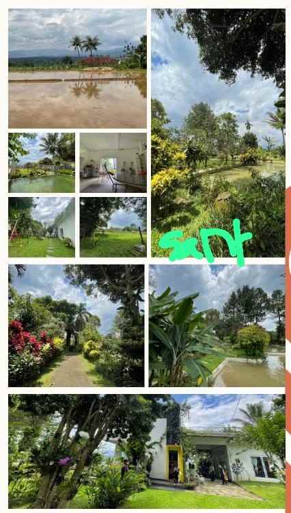 dijual villa cijeruk