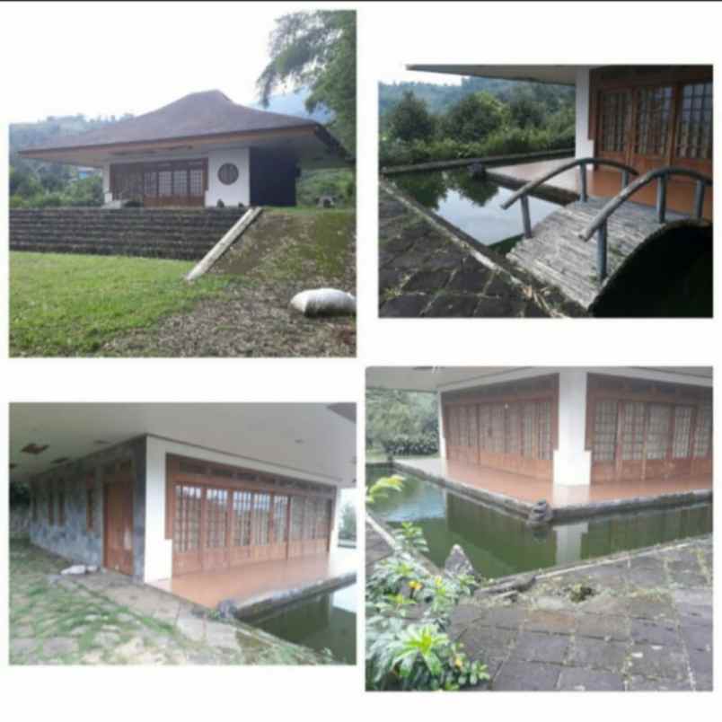 dijual villa cijeruk