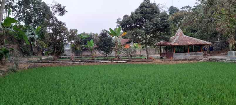 dijual villa kiarapedes