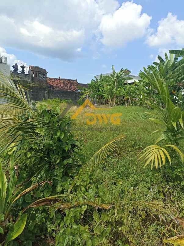 disewakan tanah komersil lokasi padonan canggu