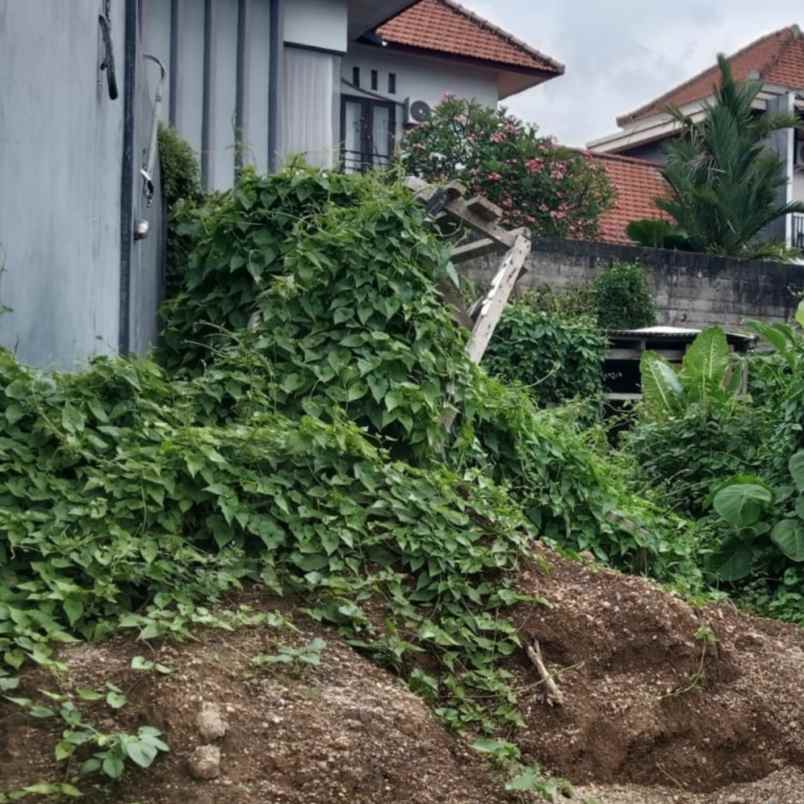 disewakan tanah padang tawang