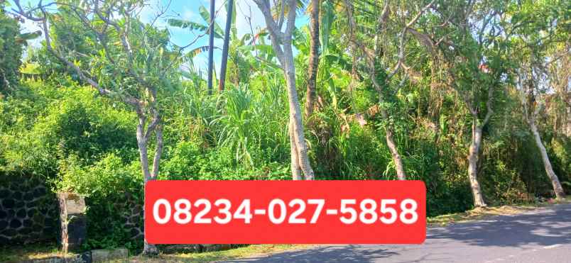 disewakan tanah penatih denpasar timur bali