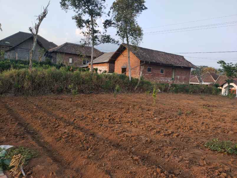 edisi bu tanah luas murah di karangploso malang