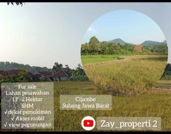 for sale tanah pesawahan cijambe subang jawa barat