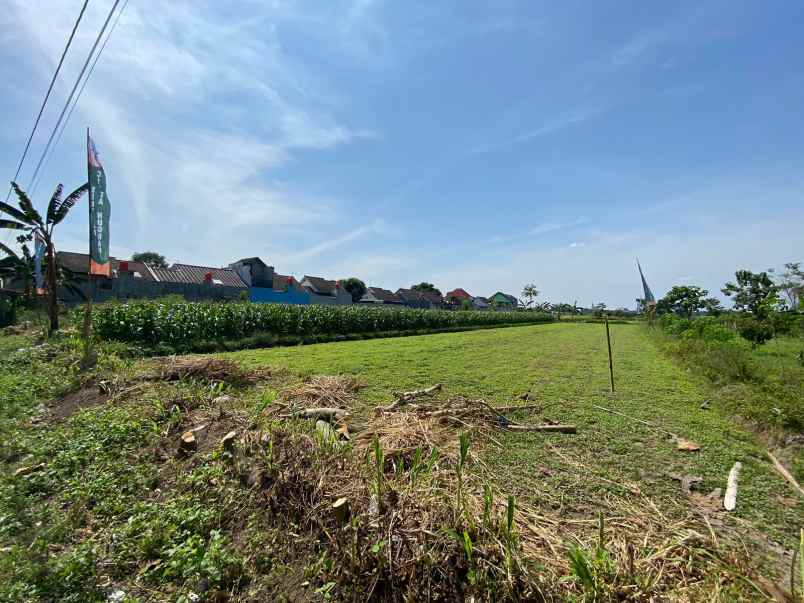 jual rumah joglo modern kualitas premium di prambanan