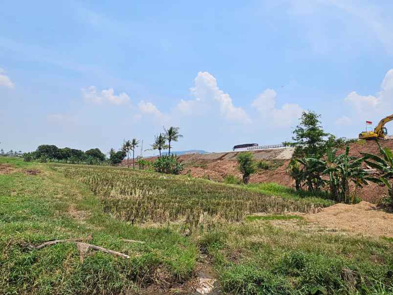 jual tanah 1 500 m2 di kramatwatu serang banten