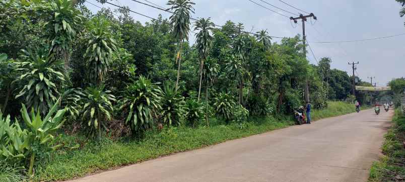 jual tanah daerah serang bekasi