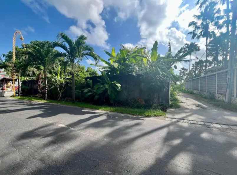 jual tanah di kawasan canggu kuta utara badung